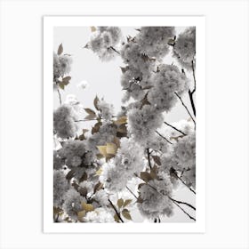 White Spring Blossoms Art Print