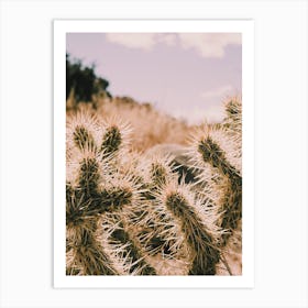 Warm Desert Cactus Art Print