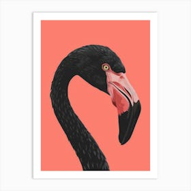 Flamingo Art Print