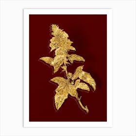 Vintage Tree Mallow Botanical in Gold on Red n.0502 Art Print
