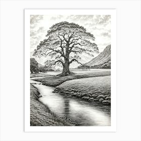 highly detailed pencil sketch of oak tree next to stream, mountain background 1 Art Print