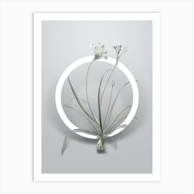 Vintage Allium Fragrans Minimalist Botanical Geometric Circle on Soft Gray n.0248 Art Print