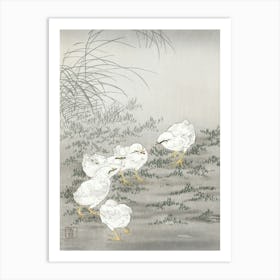 Five Chicks (1900 1936), Ohara Koson Art Print