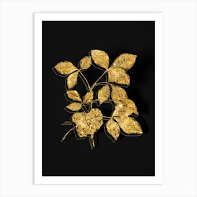 Vintage Common Hoptree Botanical in Gold on Black n.0317 Art Print