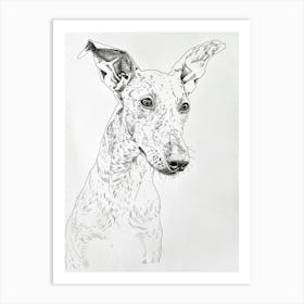 Ibizan Hound Dog Line Sketch  2 Art Print