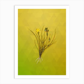 Vintage Golden Blue Eyed Grass Botanical Art on Empire Yellow Art Print