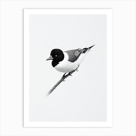 Bufflehead B&W Pencil Drawing 1 Bird Art Print