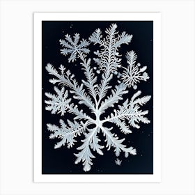 Fernlike Stellar Dendrites, Snowflakes, Vintage Botanical Illustration 1 Art Print