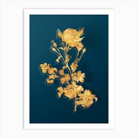 Vintage Celery Leaved Cabbage Rose Botanical in Gold on Teal Blue n.0227 Art Print