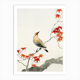 Japanese plague bird on maple Art Print