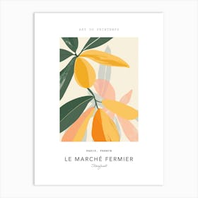 Starfruit Le Marche Fermier Poster 2 Art Print