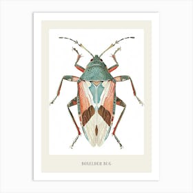 Colourful Insect Illustration Boxelder Bug 11 Poster Art Print