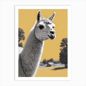 Llama Canvas Print Art Print