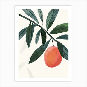 Lychee Close Up Illustration 1 Art Print