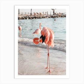 Flamingo Beach Art Print