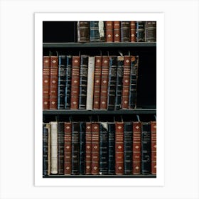 Library Book Shelf Books Art Print