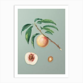 Vintage White Speckled Peach Botanical Art on Mint Green n.0981 Art Print