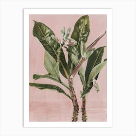 'Banana Tree' 1 Art Print