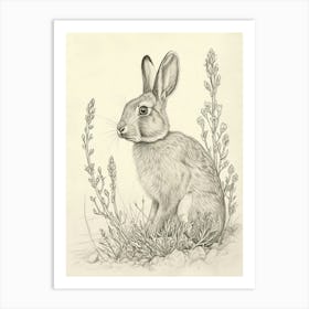 Harlequin Rabbit Drawing 2 Art Print