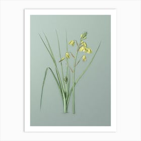 Vintage Slime Lily Botanical Art on Mint Green n.0569 Art Print