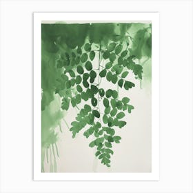 Green Ink Painting Of A Southern Maidenhair Fern 2 Art Print