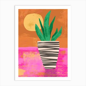 Potted Plant At Sunset Art Print