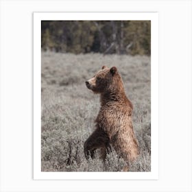 Bear Standing Up Art Print