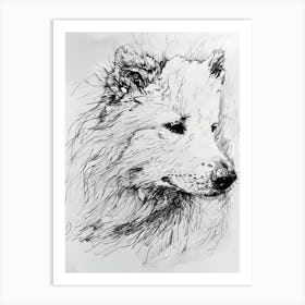 Samoyed Line Sketch Art Print