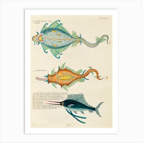Colourful And Surreal Illustrations Of Fishes Found In Moluccas (Indonesia) And The East Indies, Louis Renard(39) Art Print