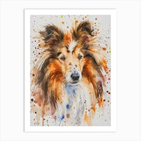 Shetland Sheepdog Watercolor Painting 4 Art Print