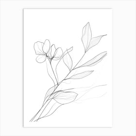 Flower Drawing 2 Art Print