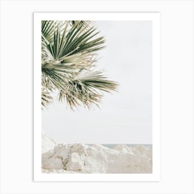 Palm Leaves Over Beach Art Print