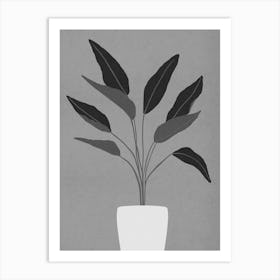 Cactus plant 1 Art Print