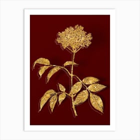 Vintage Elderflower Tree Botanical in Gold on Red Art Print