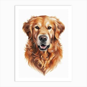 Golden Retriever 3 Art Print