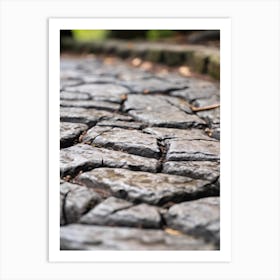 Close Up Of A Cobblestone Path Art Print