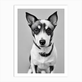 Portuguese Podengo Pequeno B&W Pencil Dog Art Print