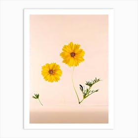 Three Yellow Flowers On A Pink Background Art Print