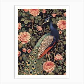 Floral Pink Roses Peacock 2 Art Print