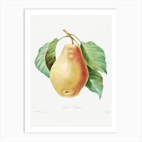 Pear, Pierre Joseph Redoute 2 Art Print