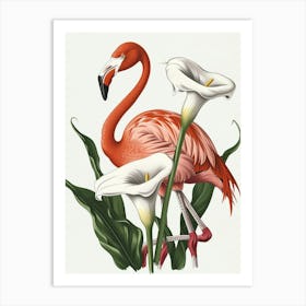 Lesser Flamingo And Calla Lily Minimalist Illustration 4 Art Print