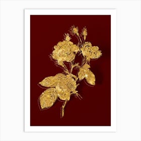 Vintage Anemone Centuries Rose Botanical in Gold on Red n.0316 Art Print