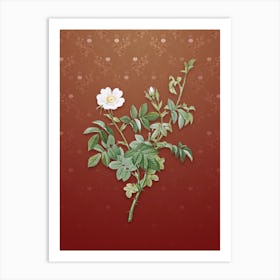 Vintage White Downy Rose Botanical on Falu Red Pattern n.0845 Art Print
