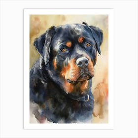 Rottweiler Watercolor Painting 3 Art Print