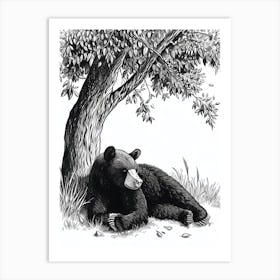 Malayan Sun Bear Laying Under A Tree Ink Illustration 1 Art Print