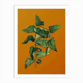 Vintage Common Smilax Botanical on Sunset Orange n.0426 Art Print