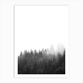 Walk Through The Forest Art Print