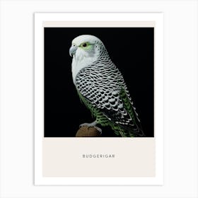 Ohara Koson Inspired Bird Painting Budgerigar 1 Poster Art Print