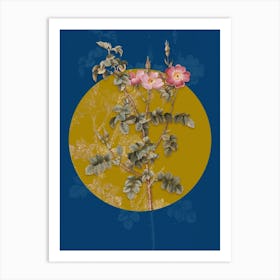 Vintage Botanical Prickly Sweetbriar Rose on Circle Yellow on Blue n.0034 Art Print