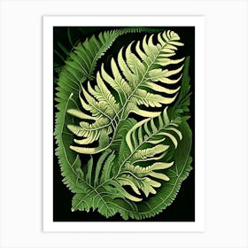 Southern Shield Fern Vintage Botanical Poster Art Print